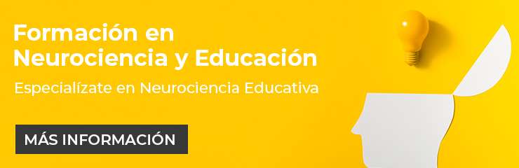 formación en neurociencia y educación