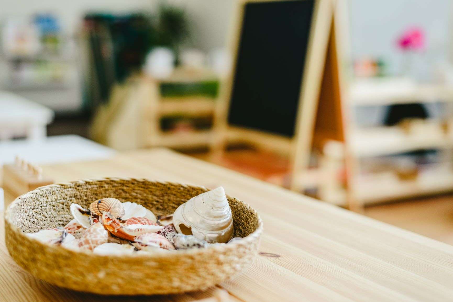 conchas para el juego heurístico