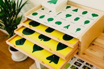 montessori wood material for the learning of children and children at school