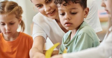 Función principal y otras cualidades