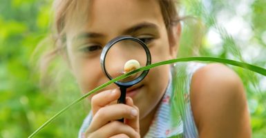 niña observando a un caracol en educación cósmica