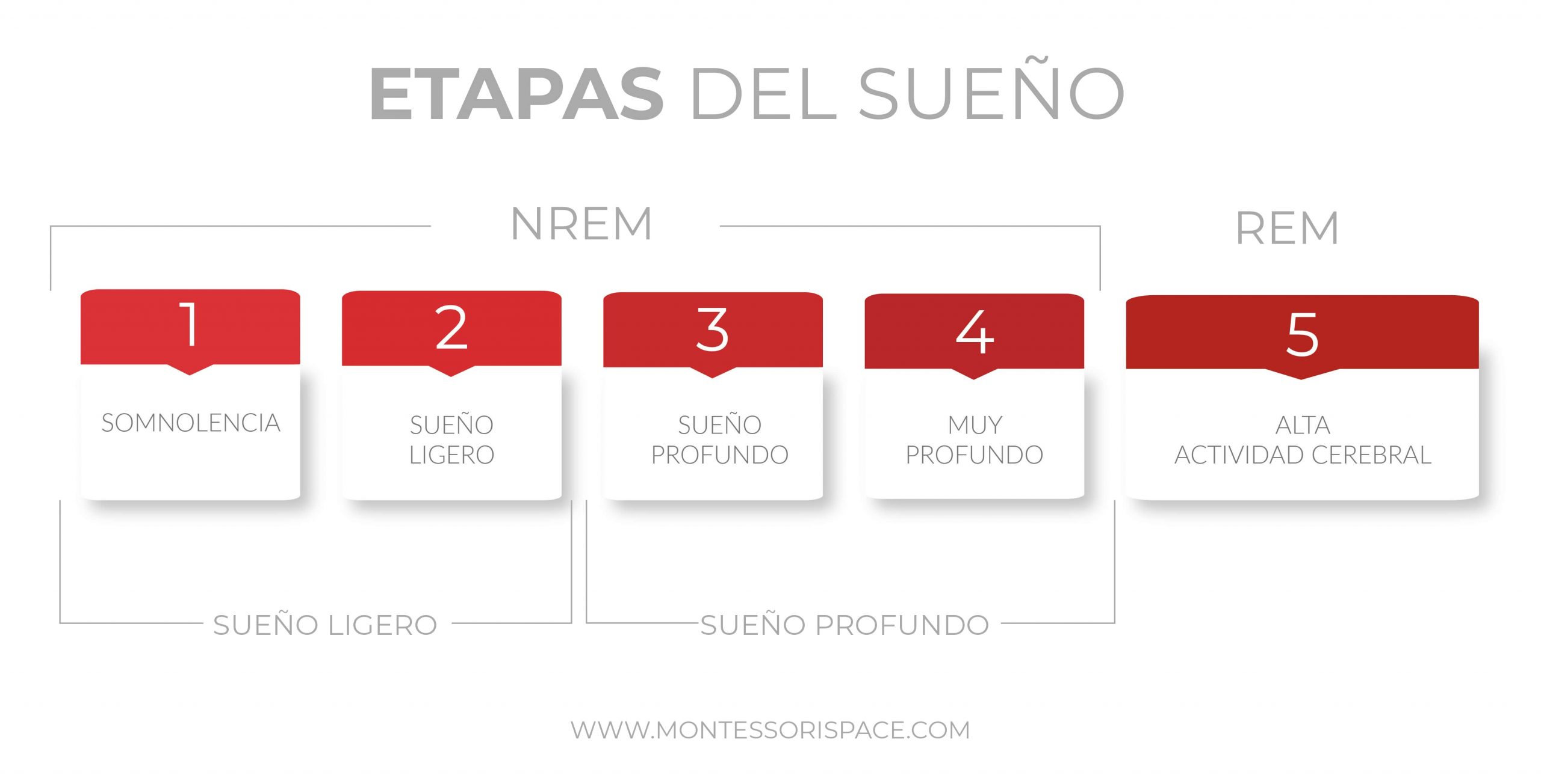 Etapas del sueño en bebés 